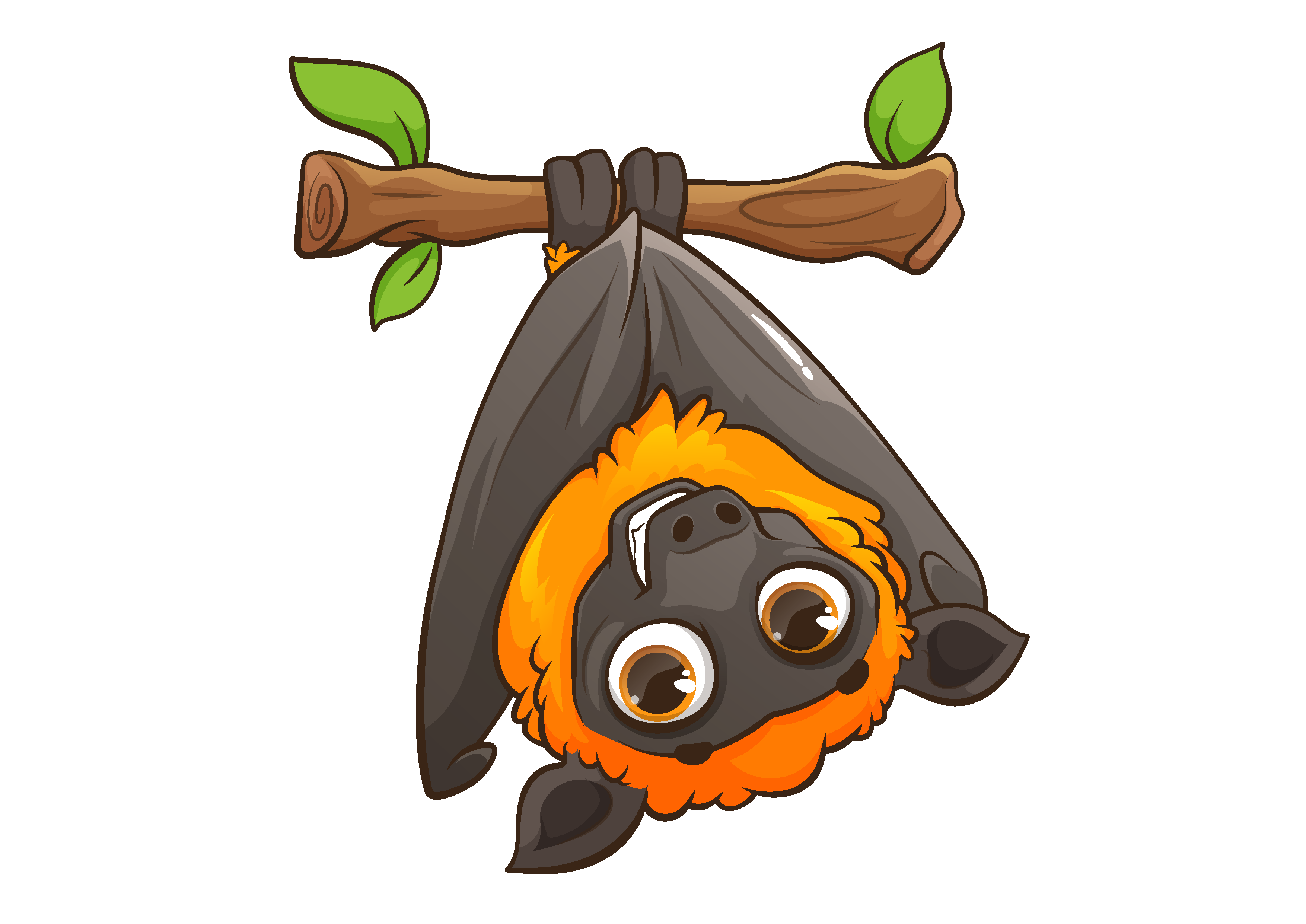 a bat